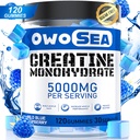 Kreatin Monohidrat Gumiji za moške in ženske 5000mg Kreatin Monohidrat na Serviranje za podporo mišic Energija Boost 120 Štetje Žvečljivi 5g Kreatin Dopolnilo sladkor brez Vegana (1 Pack, Modra malina)