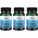 Swanson Luteolin Complex w/Rutin - Brain Support dodatek za spodbujanje spomina, razpoloženja in kognitivnega zdravja - naravna formula za pomoč vzdrževanje živčnega sistema - (30 Veggie kapsule) 3 Pack