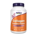 Zdaj prehranska dopolnila, kolagen peptidi v prahu, klinično testirani, zdravje sklepov in kosti*, 8-ounce