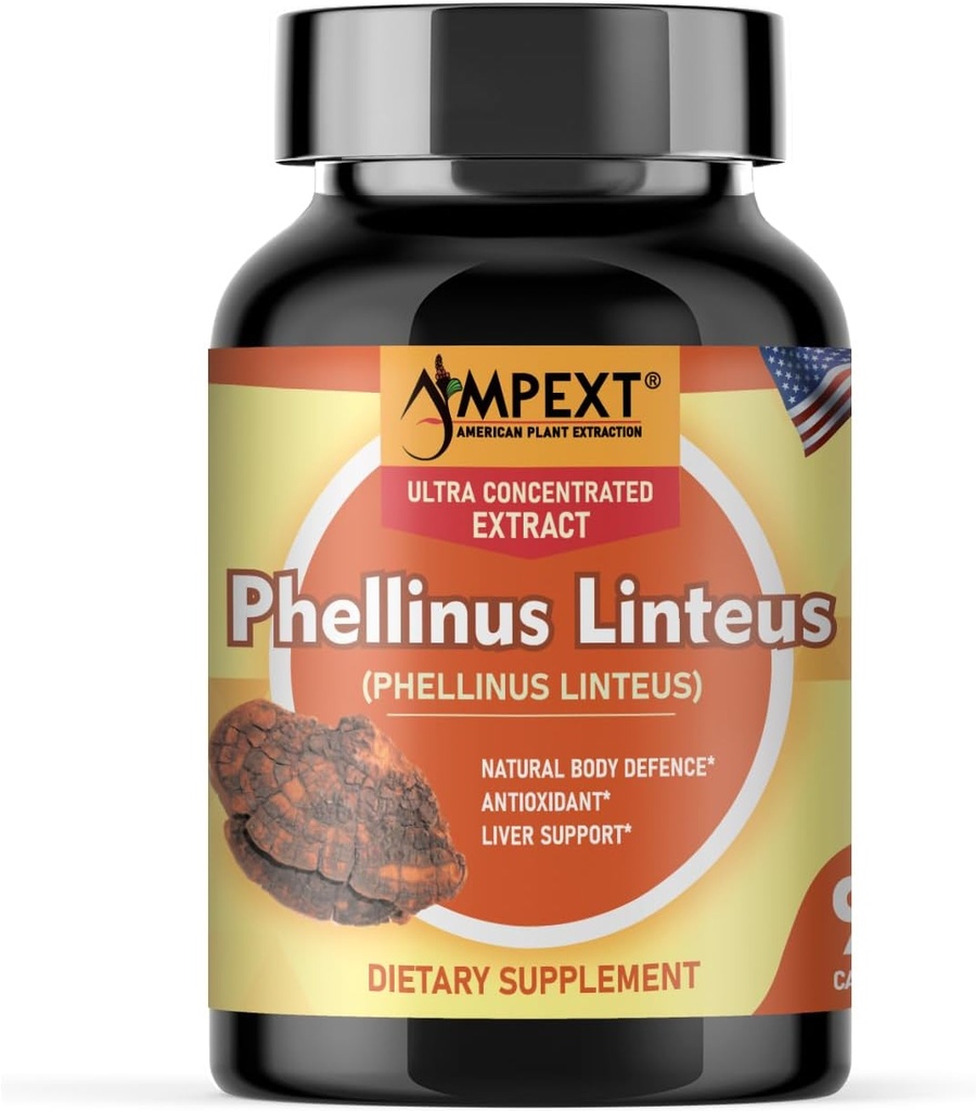 Phellinus linteus goba Extract - Premium kakovost, Samo plodovi telesa, Antioksidant, Immunity Booster, Podpora jeter, 90 Veg Caps.