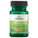Swanson L. Plantarum - Prebavni dodatek za spodbujanje gastrointestinalnega ravnovesja in regularnosti črevesja - naravna formula za pomoč zmanjšati napihnjenost - (30 Veggie kapsule)