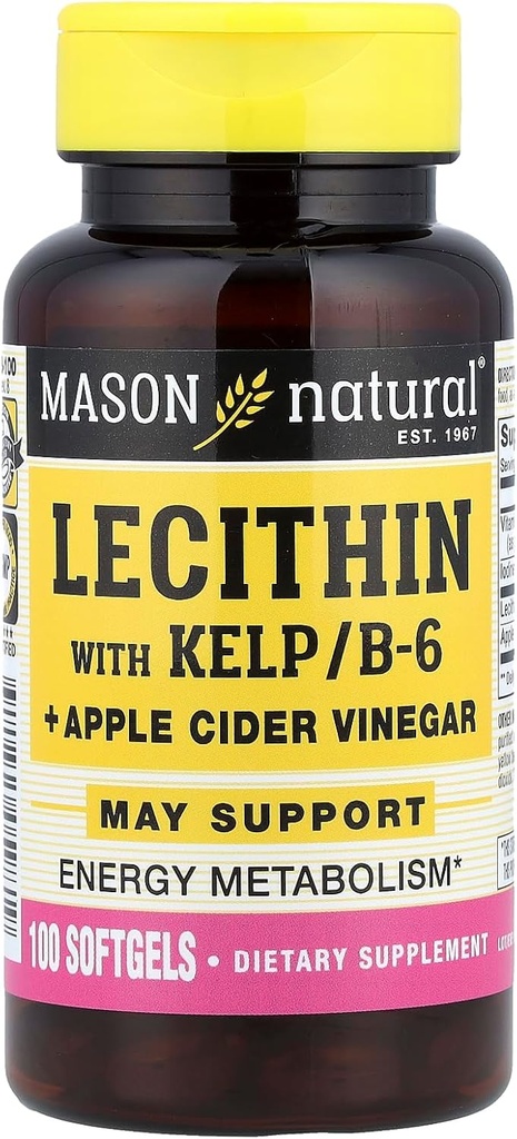 MASON NARAVNI lecitin s KELP, B 6 Plus vinski kis