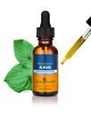Herb Pharm Organic Kava Root Liquid Extract for Stress Relief & Relaxation*: Vegan Kava Extract, Non-GMO Kava Kava Tinkture for Calm & Relaxed Mood, Gluten-free, 1 Oz