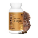 Vita Green Lingzhi Gobe Kapsule za energijo, spomin, in imunske podpore – Pure Reishi dodatek z naravnimi antioksidanti za wellness in energijo – 72 Kapsule