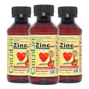 CHILDLIFE ESSENTIALS Tekoči cink Plus za otroke & Toddler - Tekoči dodatki kapljice, cinkov glukonat in baker za imuno podporo - Mango Jagoda, 4 Fl Oz (Pack of 3)