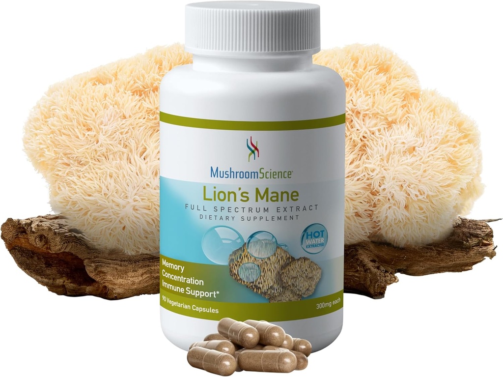 Kapsule gobScience Lions Mane Gobe, podpora pomnilniku in koncentraciji, izvleček celotnega spektra, dopolnilo gob za odrasle, izvlečka tople vode, vegetarijanske, 300MG, 90 ct