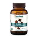 Himalaja Guggul - zeliščna podpora jetrnim detoksom, holesterolom, HDL in LDL - veganska, ne- GMO, brez glutena, 720 mg, 60 kapsul