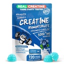 Kreatin Monohidrat Gumies Complex za moške in ženske - 120 Gumies Napredna Formula, L-Taurine + Vitamin B12 za mišično moč, mišice Graditelj, Energy Boost, Predworkout dodatek - Blueberry