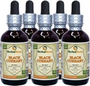 Črni ribez (Ribes nigrum) Tinktura, posušeni listi tekoči ekstrakt (Brand Name: HerbalTerra, Ponosno Made in USA) 5x2 fl.oz (5x60 ml)