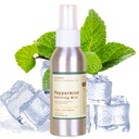 Summer Cooling Itch Relief Mist Peppermint Spray for Heat Rash, Eczema-Prone, Sensitive Skin – Kid-Safe (3+), Alcohol-Free Soothing Mist for Summer & Hot Humid Days (3.38 fl oz)