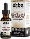 Levi Mane goba dopolnilo kapljice - Ekološki lev grivasta goba tekoča tinktura za fokus, Fog Brain Health dopolnila - Vegan Herbal Nervine Nootropic Organic Lions Liquid dodatek ekstrakt 1oz