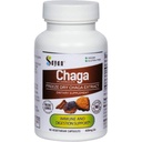 Sayan Sibirska Chaga goba Extract – 90 kapsul/420mg ea – Natural & Wild Harvest Antioksidant dodatek – Imunski sistem Podpora in Regulirajte funkcije telesa – Vegan, Non-GMO, Brez polnil ali dodatkov
