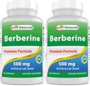 Najboljši naravni Berberine 500mg 120 Kapsule - podpira imunske funkcije, kardiovaskularne in gastrointestinalne funkcije (120 število (Pack po 2))