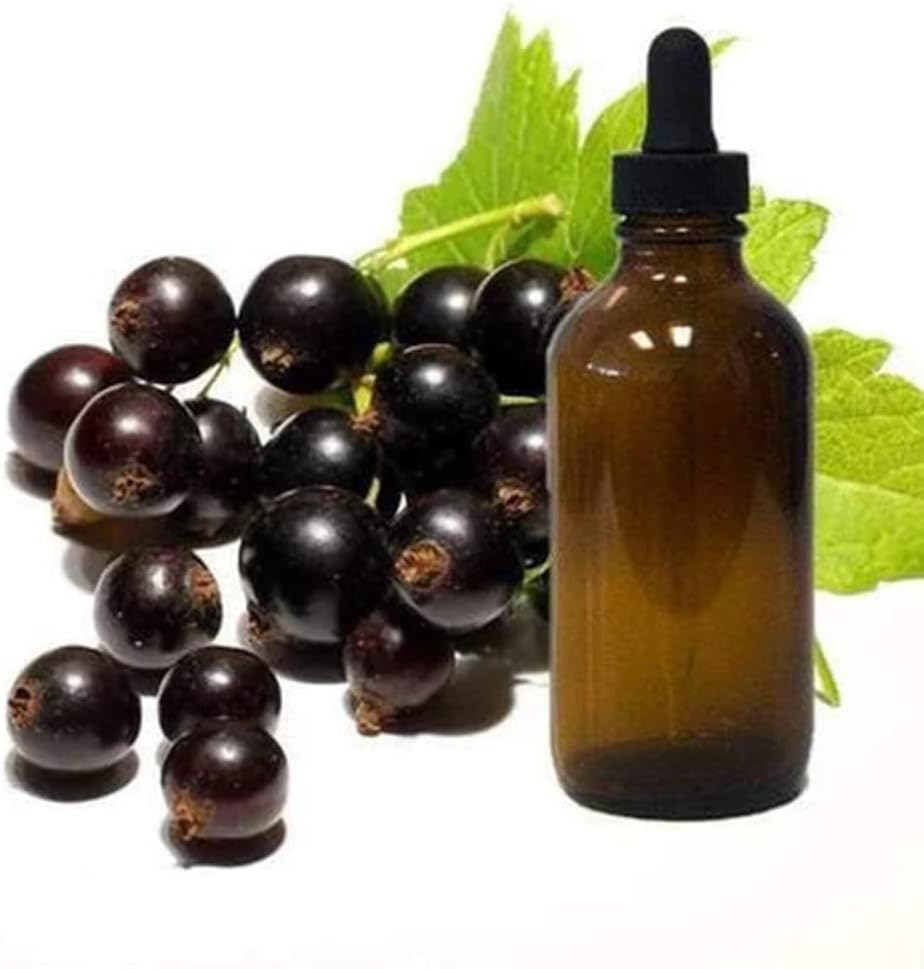 Olje črnega ribeza 1/4oz Vzorec