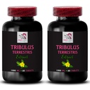 Tribulus Terrestris dietary supplement - TRIBULUS TERRESTRIS EXTRACT - Tribulus Extract, Tribulus Pills, Tribulus Terrestris pills, Natural Tribulus, Tribulus Terrestris pills 2 Bot 120 Capsules
