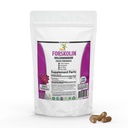 Pure Forskolin Extract dodatek s Potent Coleus Forskohlii 20% Standardizirani 1000 mg za izboljšano energijo - Rastlinske na osnovi energije dopolnila za ženske in moške - 100 Veggie kapsule