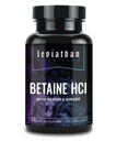 Leviatan Betain HCl s Pepsin & Ginger - Prebavne encime Dopolnilo za digestivno pomoč in podporo, želodčna kislina in absorpcija hranil