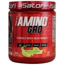 iSatori Amino-GRO BCAA prašek, razvejane verige aminokislin z glutaminom, elektrolitski prašek in bio-GRO bioaktivne peptide za rast mišic in po treningu regeneracija, zmrznjena limonada (30 strežb)