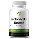 Lactobacillus Reuteri Probiotic Dodatek 240 Tablete 3 Biljon CFU Probiotiki za moške in ženske podpira črevesne prebavne motnje in črevesno zdravje (240, Lactobacillus Reuteri)