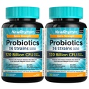 NewRhythm probiotics 120 milijard CFU 36 sevi, 3- v-1 probiotiki za prebavno zdravje in imuno podporo s prebiotiki in encimi, probiotikos za ženske in moške, Vegan ciljno release dodatek, 60ct