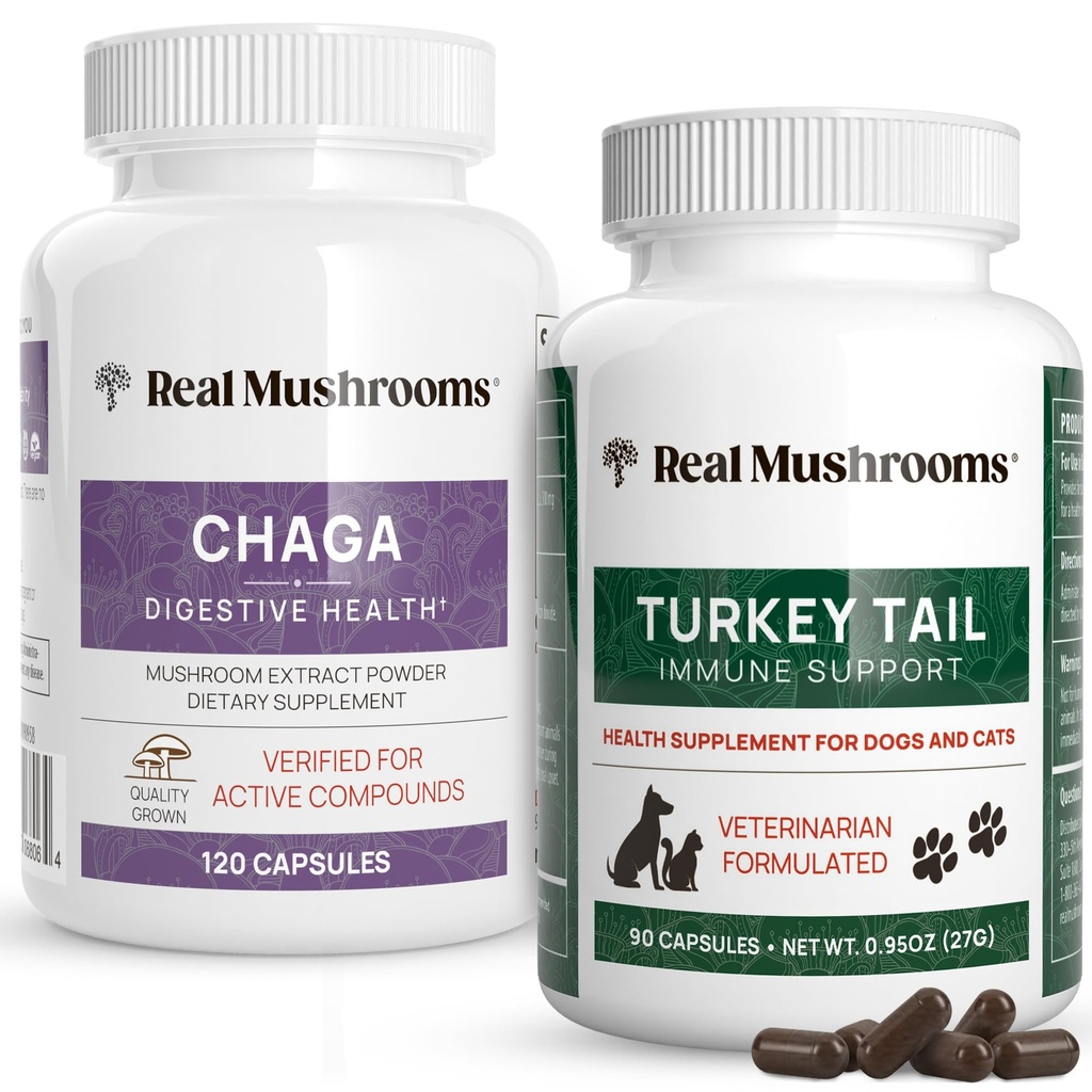 Prave gobe Chaga za ljudi (120ct) & Turčija Rep za hišne živali (90ct) - paket za prebavno zdravje in imuniteto - veganske, ne-GMO, brez zrnja, izvlečkov gob brez glutena