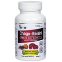 Sayan Sibirska Chaga in Organic Reishi Goba Extract dodatek – 90 Kapsule/440mg vsak - Wild-Harvested, Antioksidant Mešanica za podporo imunskega sistema + Naravna energija Boost, Non-GMO, Gluten brez