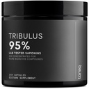 Tribulus Terrestris za moške - Ultra visoka moč 25:1 Izvleček s 95% saponinov - 1300mg Pure & Koncentrirana Formula - laboratorij tretje stranke Testirano za čistost in kakovost - 240 kapsul