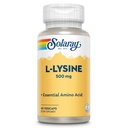 SOLARAY L Lysin 500 mg Kapsule - Free-Form Essential Aminokisline dodatek - Močna Wellness podpora z L-Lysine Aminokisline - laboratorij preverjeno, 60-dnevno garancijo, 60 Serving, 60 VegCaps