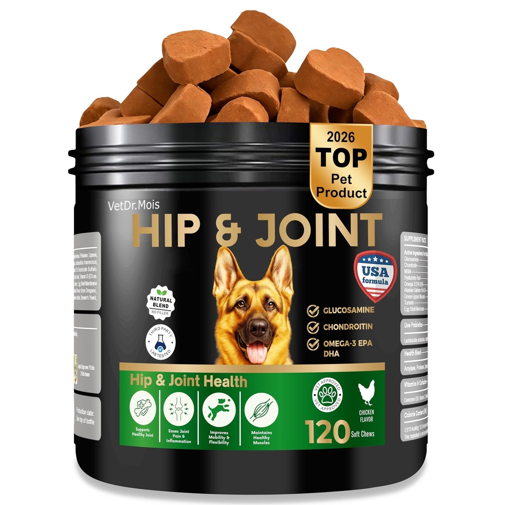 Dog Joint Supplement Chews with Glucosamine & MSM & Omega 3–Joint Support for Senior & Large Breed Dogs, Alternative for Longevity & Healthy Aging, Mobility Treatment & Flexibility with CoQ10-120 Ct