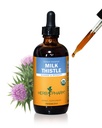 Herb Pharm Milk Thistle Seme ekstrakt za podporo funkcije jeter - 4 Ounce (DMILK04)
