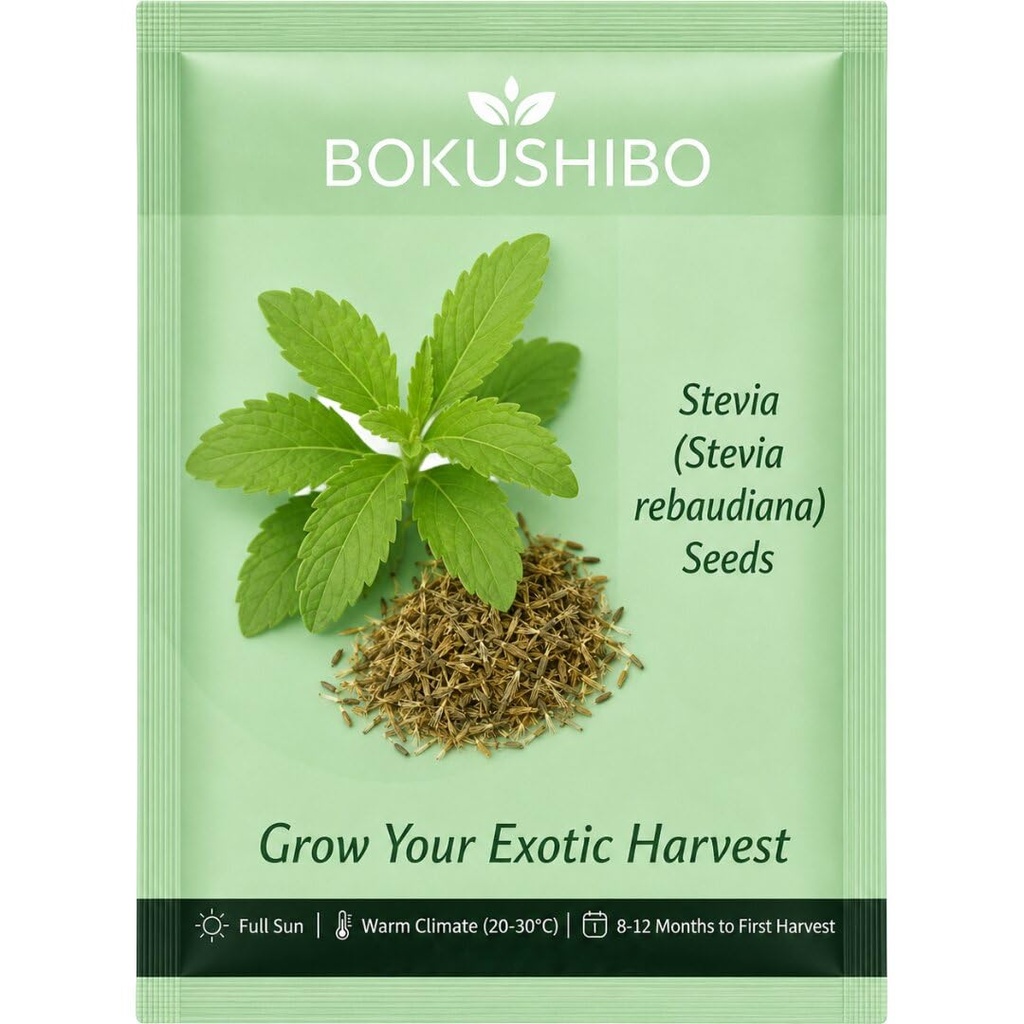 Stevia Seeds (Stevia rebaudiana) for Home Garden (500 mg) | Meethi Tulsi Sweetleaf Herb Seeds