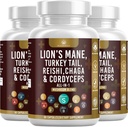 Dodatek gob z levjo grivo Turčija rep Reishi Cordyceps Chaga Marshmallow koren - 180 grof