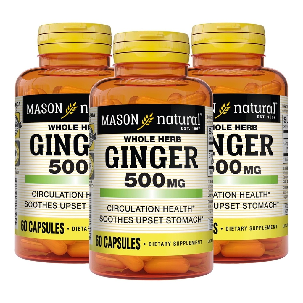 MASON NARAVNI cel Herb Ginger 500 mg, 6 mesecev oskrba, naravni zeliščni dodatek, 60 kapsul (3 pakiranja)