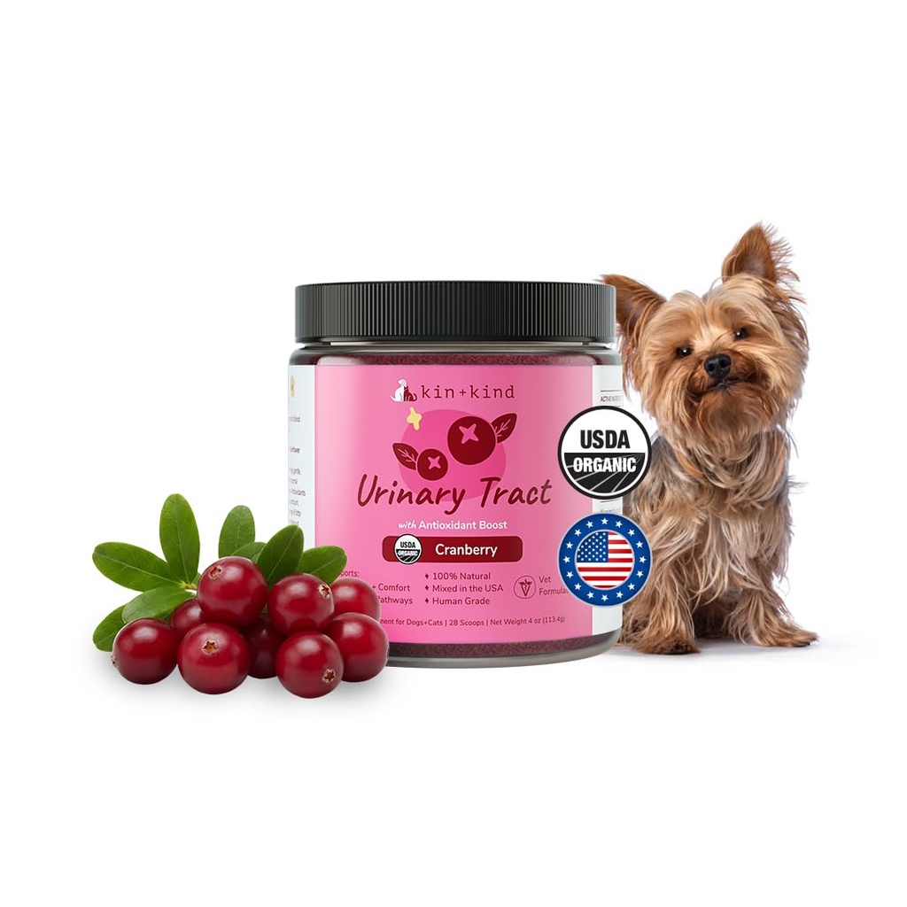 Kin+kind Dog Supplement Powder - Dopolnitev za pse in mačke za zdravo imuniteto - Podpora za mehur - Naravna formula z organsko brusnico, borovnico in kokosom - Made in USA - 4 oz (srednje)