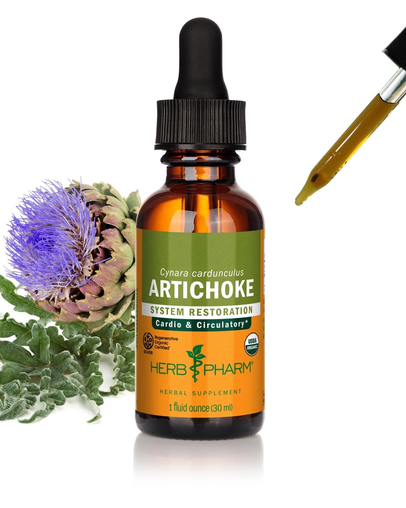 Herb Pharm Certified Organic Artichoke Tekoči ekstrakt za kardiovaskularno in cirkulacijsko podporo - 1 Ounce