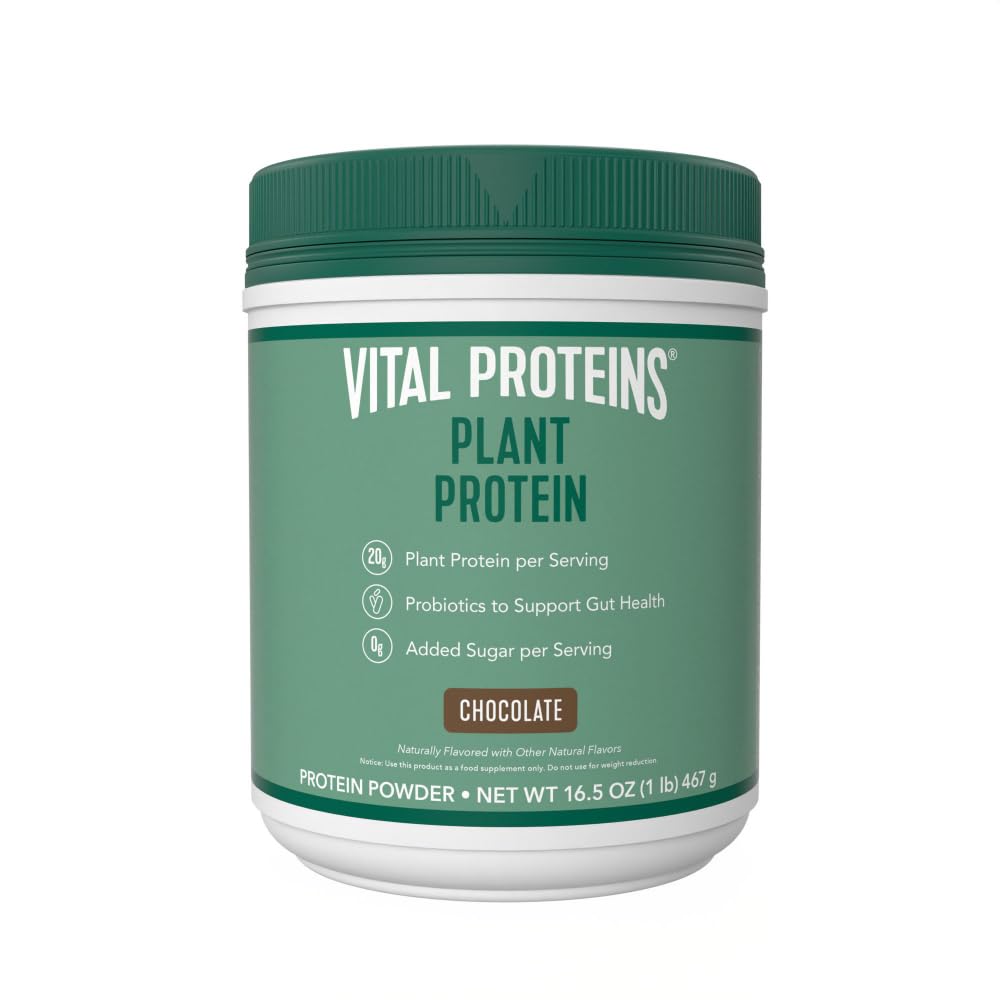 Beljakovine Vital Proteini Powder – 20g Proteini na osnovi rastlin s Chickpea – 1B CFU probiotiki za zdravje brez dodanega sladkorja – čokolada, 16,5 oz
