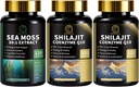 Sea Moss in Shilajit Kapsule za moške in ženske, Vse v 1 dodatki s Shilajit, Sea Moss, Koencim Q10, Črno seme, Ashwagandha, Burdock za energijo, Antioksidant in imunske podpore