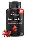 Berberine Advanced Plus s 1200 mg Berberina - 100 mg Ceylon Cimet in 100 mg izvleček zelenega čaja - 1400mg na odmerek - 120 kapsul - 60 dnevna zaloga - podpira Imunsko in kardiovaskularno