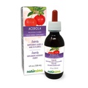 Naturalma Acerola (Malpighia glabra) Sadje brez alkohola Tinktura - bogata z vitaminom C - 4 fl oz Tekoči ekstrakt v kapljicah - Zeliščni dodatek - Vegan