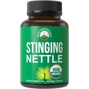 USDA Organic Sting Nettle Vegan Kapsule Izdelane s Stinging Nettle Leaf Powder za prostate, rast las, alergija. Bolje kot koren ali izvleček semena. Rastlinske tablete rastlinskega izvora, 60 tablet