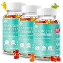 BIO VITALICA Sea Moss Gumies Elderberry BioVitalica - Vitamin C D + cink - Irish Seamoss Vegan Gummy z Sea Moss Gel & Prašek za imuniteto, Detox - za odrasle in otroke (3Packs)