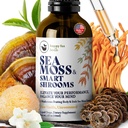 SREČNA FOX Irish Sea Moss Tekoče kapljice in goba Tinktura - Seamos s 7 Adaptogene gobe Izvlečki za kognitivno podporo & Gut Health, goba kavo eliksir, Pure Vanilla Flavor