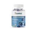 Himalaja Ashwagandha Organic Gummies, KSM-66 Organic Ashwagandha za pomoč pri razbremenitvi stresa, energije in sprostitve, 60 Gummies z okusno okus BlackBerry