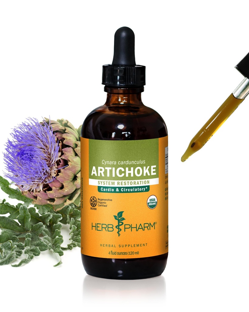 Herb Pharm Certified Organic Artichoke Tekoči ekstrakt za kardiovaskularno in cirkulacijsko podporo - 4 Ounce
