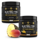 HRDWRK - 100 Servisi Keto Elektroliti powder Hydration Sugar Free - Elektrolitni prašek za povečanje vzdržljivosti in zmanjšanje utrujenosti z elektroliti dodatek - Unflavored & Mango Ananapple Set