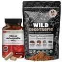 DailyNutra KSM 66 Ashwagandha (90 kapsul) in gobe Cacao Mix (16oz) paket za sprostitev in fokus