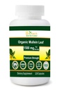 Organic Mullein Leaf 1500 mg Serviranje 120 Zelenjavnih kapsul Izdelano v ZDA