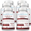 Odobreni Science Tribulus Terrestris - 360 kapsul - okrepi testosteron, izboljša atletsko zmogljivost, podpira rast in popravila mišic - 95% Furostanol Saponins - Bioperine - Vegan - 6 steklenic