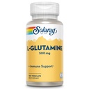 Solarnay L Glutamine kapsule 500 mg - Imunska podpora - Prosta aminokislina - Laboratorij preverjen, 60-dnevni denar nazaj garancije - 100 Serving, 100 VegCaps