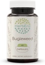 HerbEra Bugleweed 60 kapsul, 400 mg, izdelan z Bugleweed (Lycopus Virginicus), posušen herb (60 kapsul)